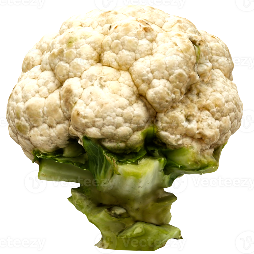 3d render cauliflower vegetable with transparent background png