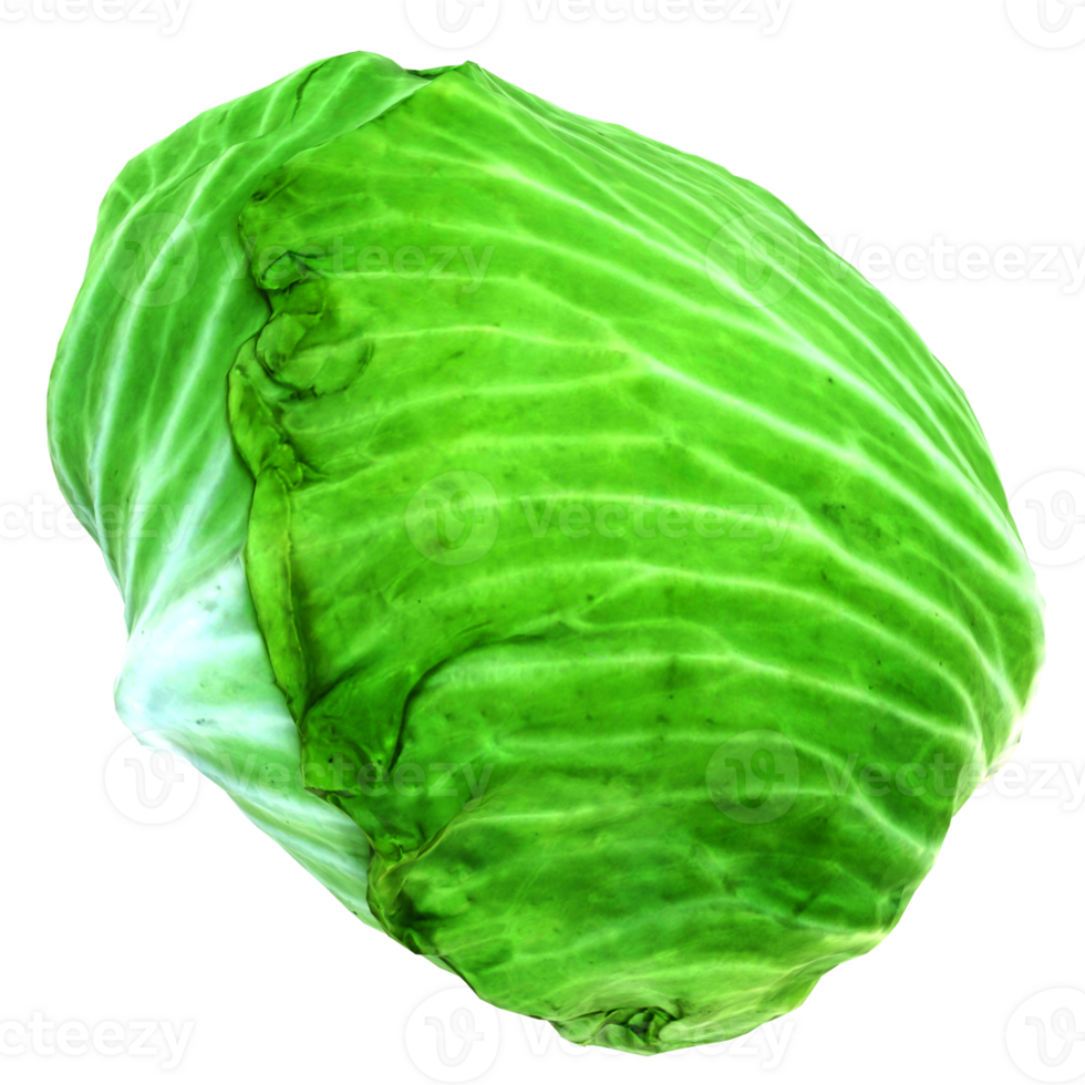 3d render cabbage with transparent background png