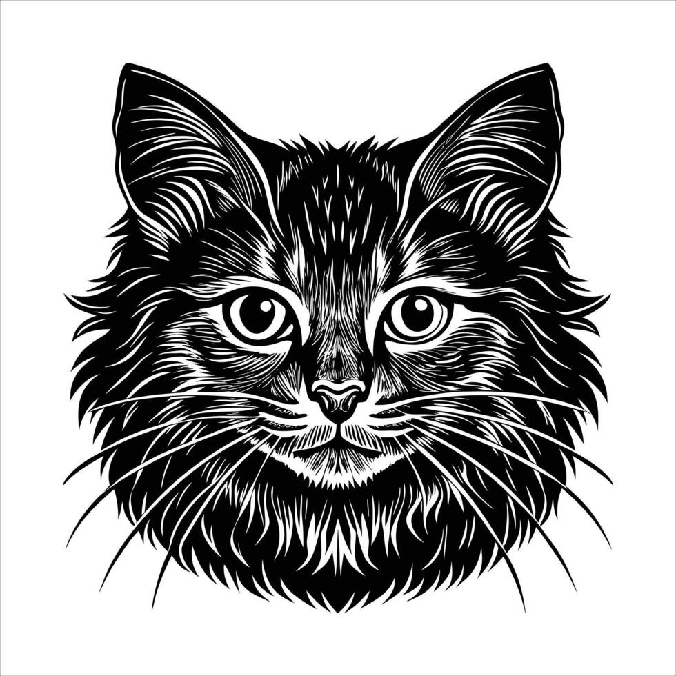 Siberian Forest Cat illustrations vector