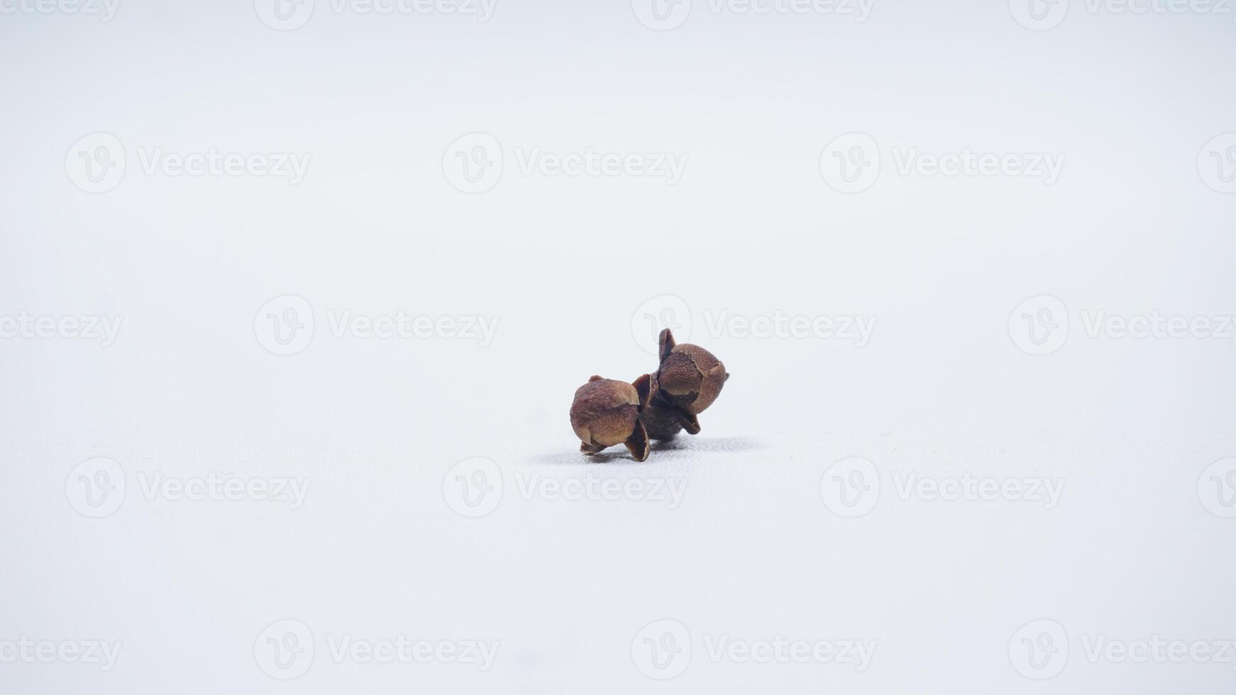 Two Dried Clove Isolated on White Background photo