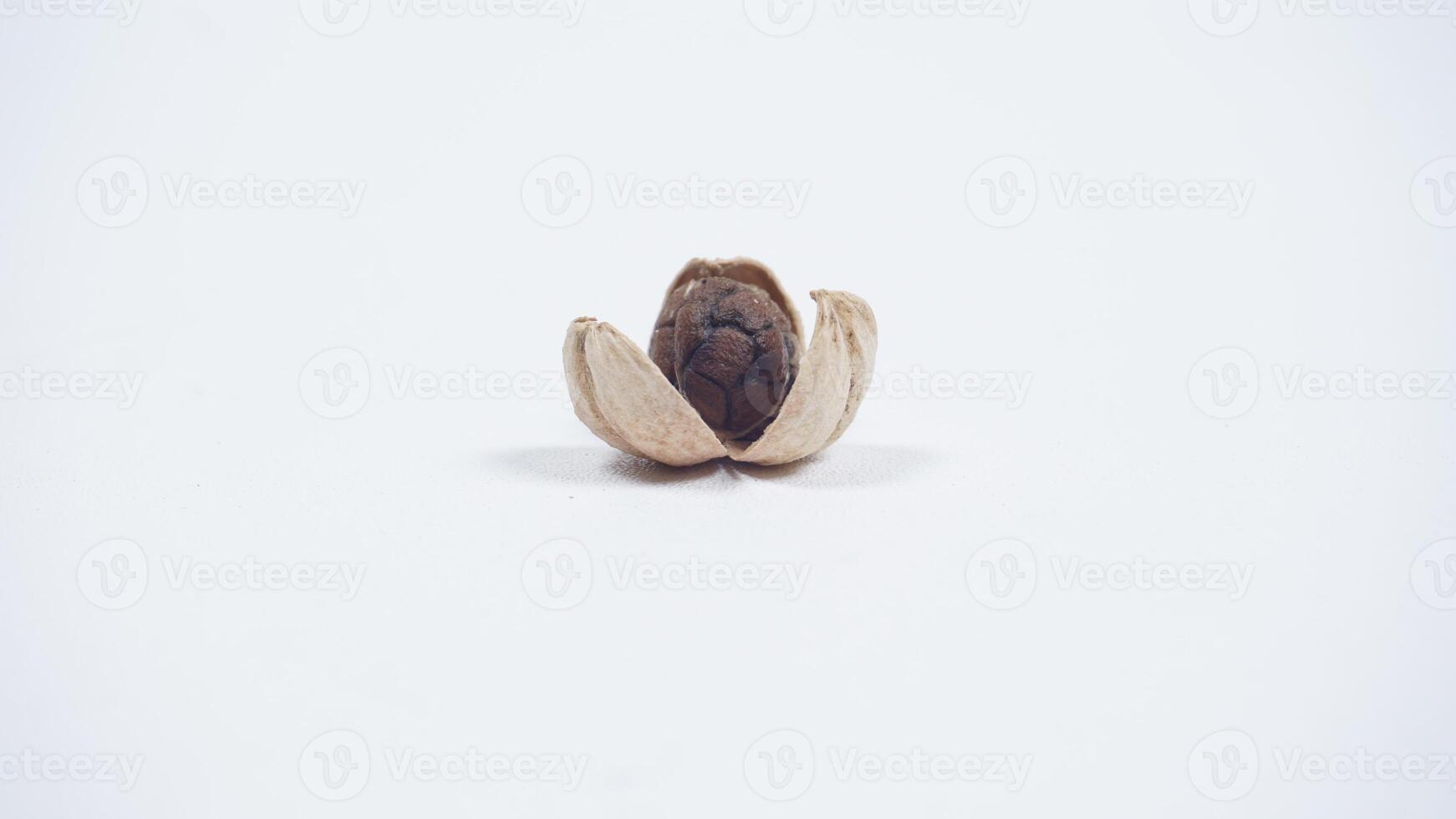 A Peeled Dried White Cardamom with Exposed Seeds photo
