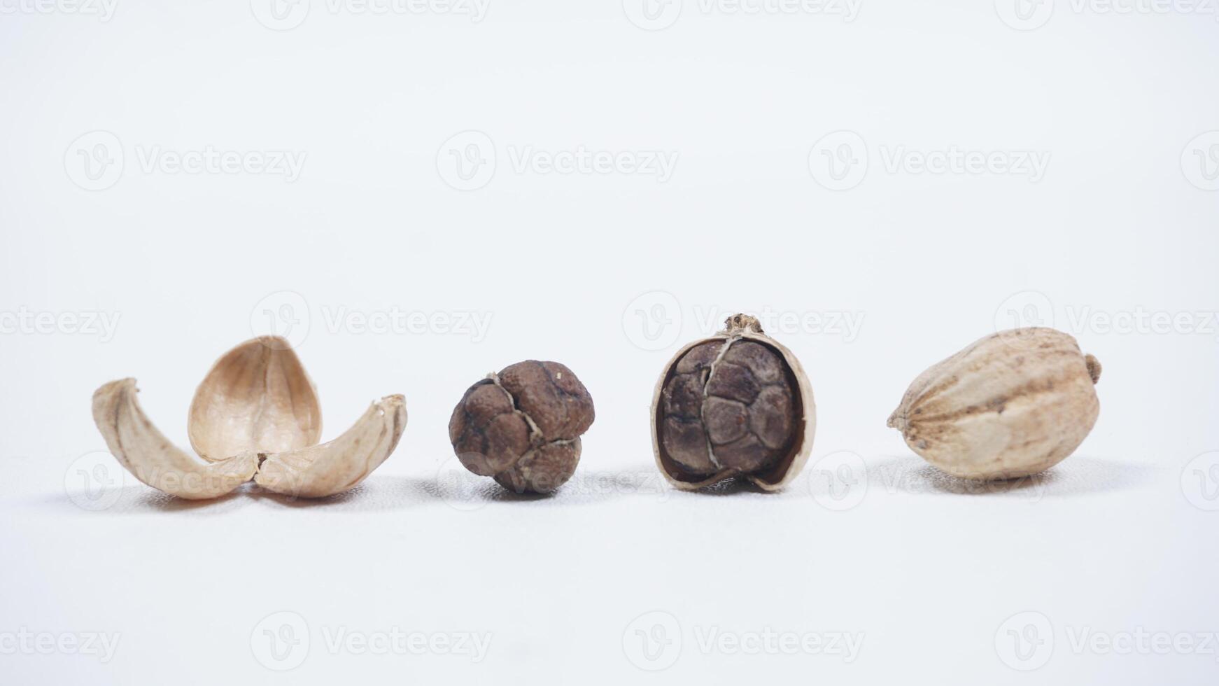 Set of White Cardamom Skin, Seeds, Peeled, and Whole photo