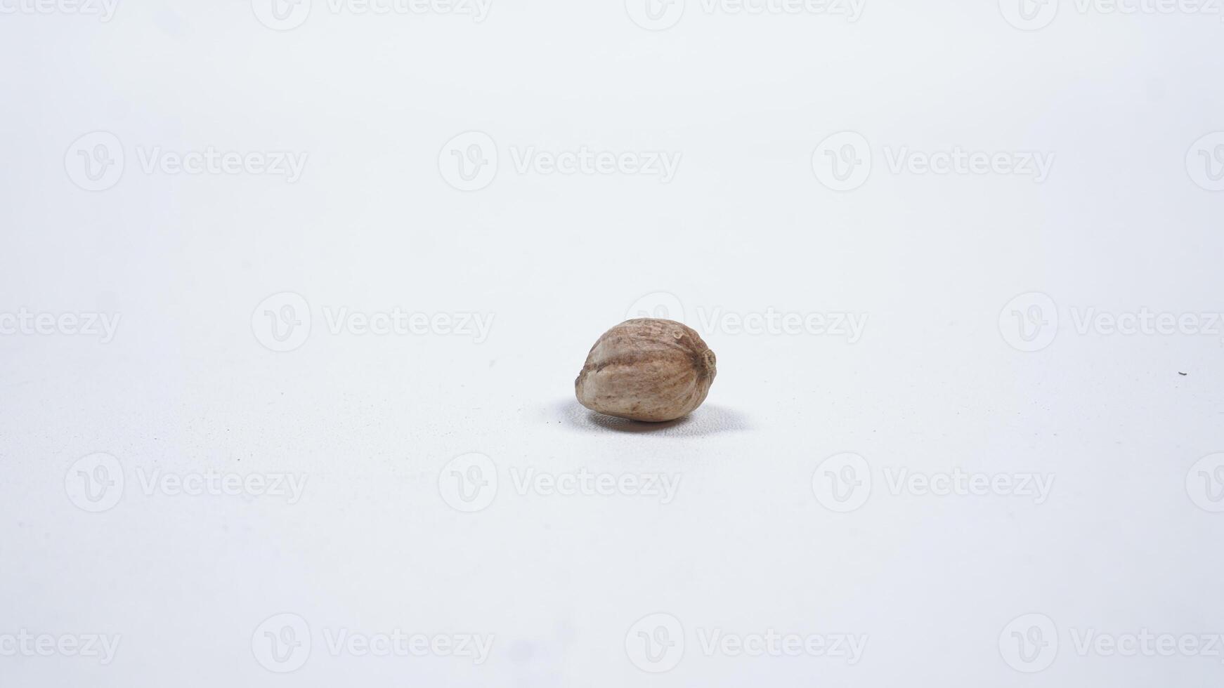 A Dried White Cardamom Spice photo