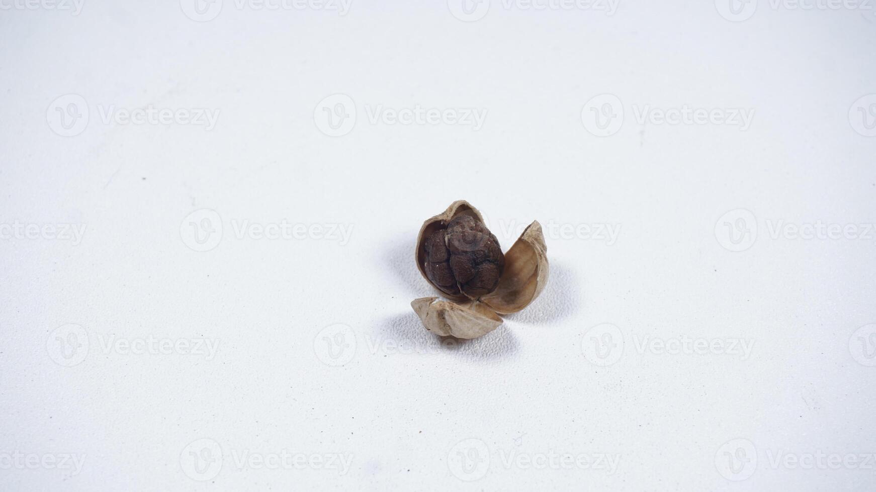 A Peeled Dried Cardamom with Exposed Seeds on White Background photo