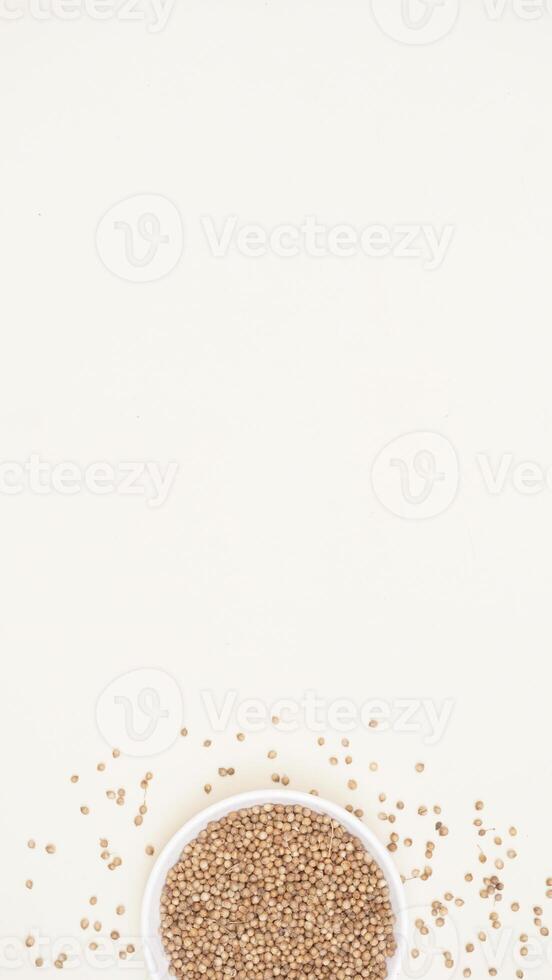Scattered Coriander with Coriander in Bowl on Light Background photo