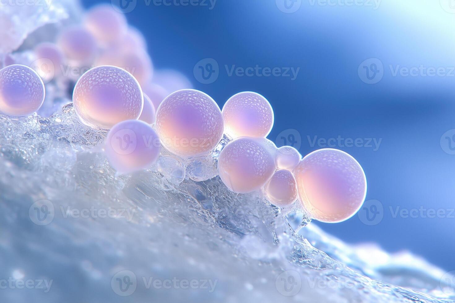 fruiting bodies of microscopic fungi, macro photo