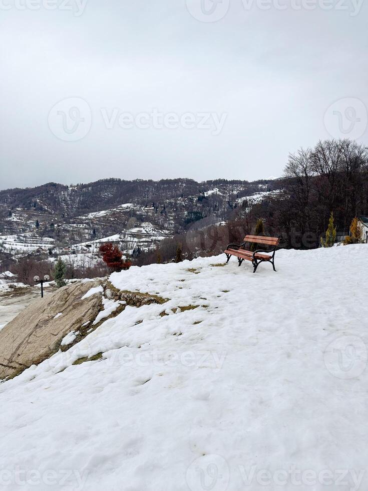 Bench covered with snow in frozen day. Empty bench in snowy park. Winter weather. Wooden bench in park in snowfall. Peaceful winter nature. Climate changes. February landscape. photo