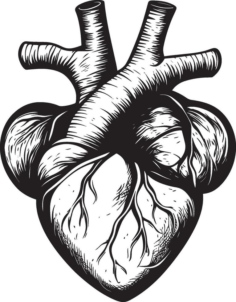 Black heart symbol graphic vector