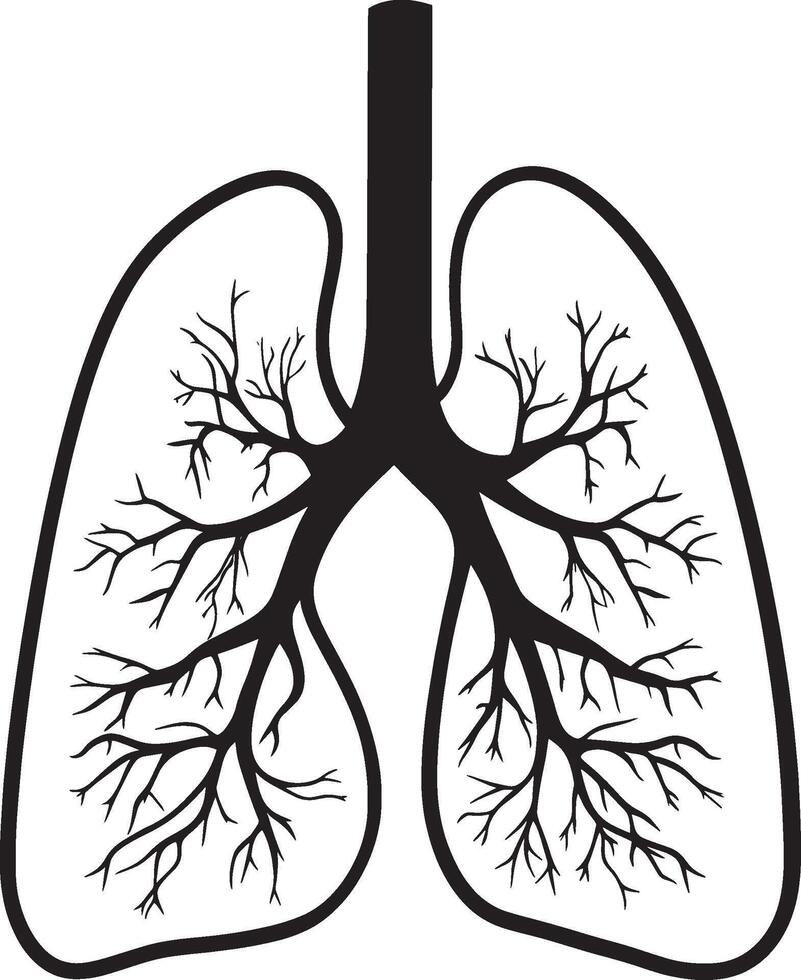 Lungs outline black illustration vector