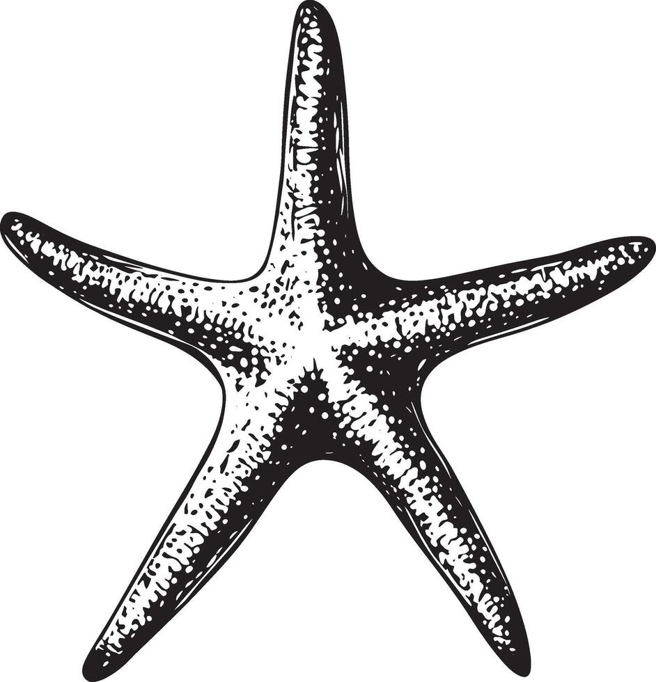 Starfish icon in black style. vector