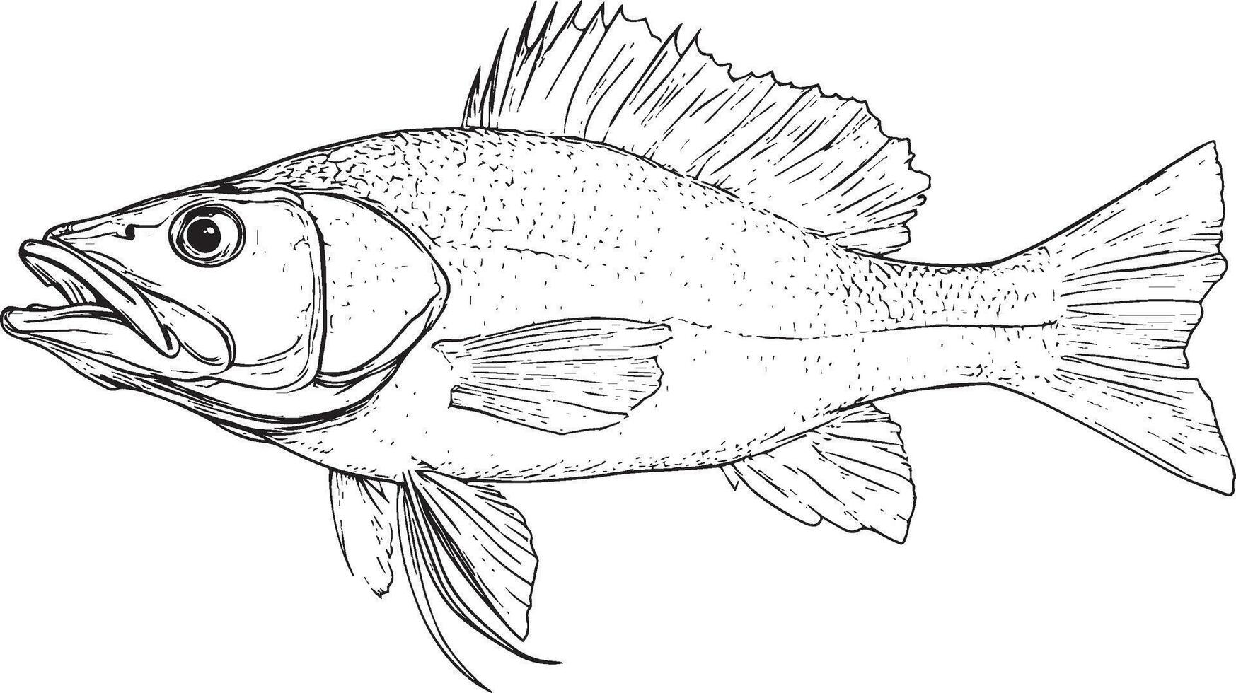 Black illustration of a cod fish in outline style. vector