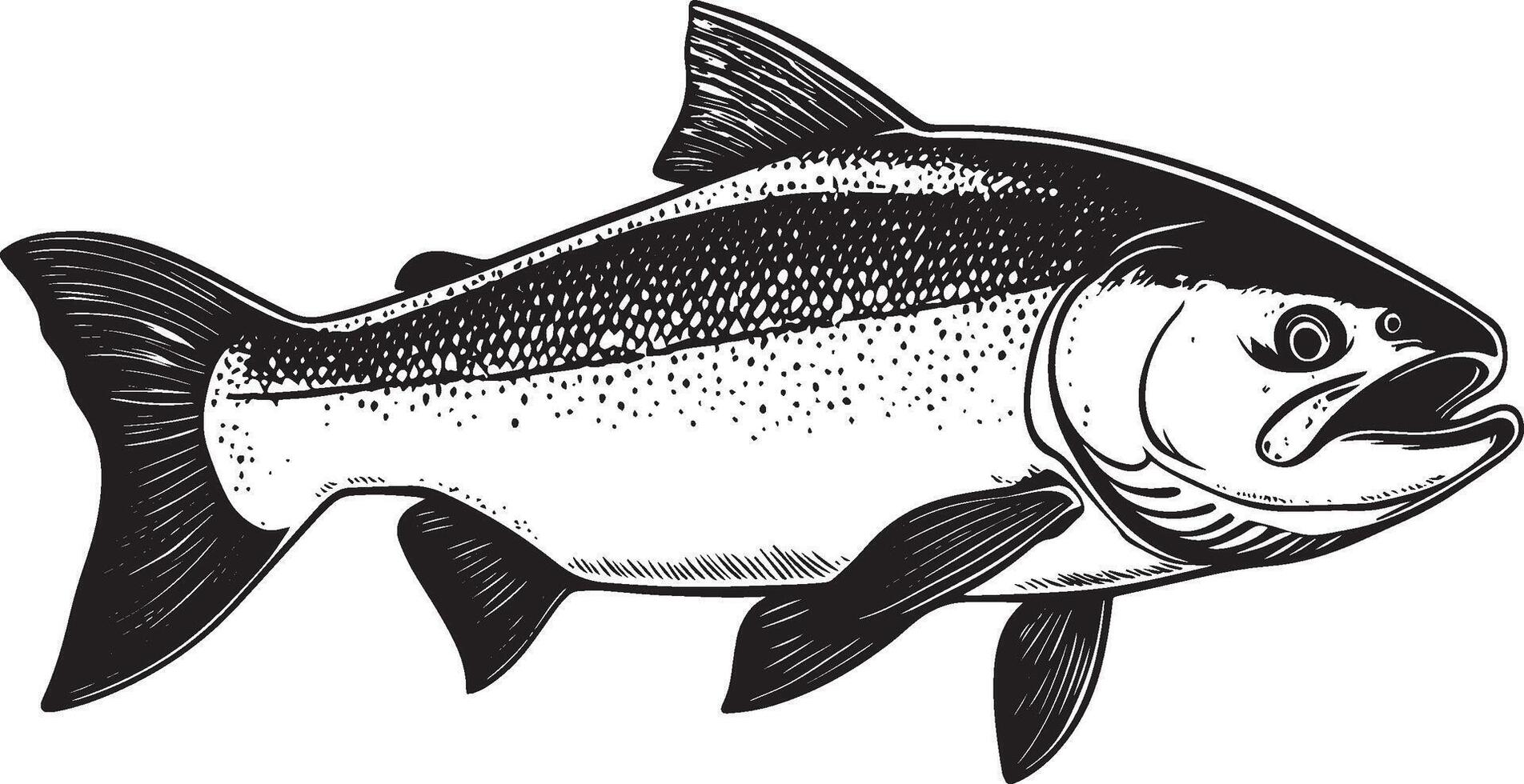 Salmon fish simple silhouette black illustration vector