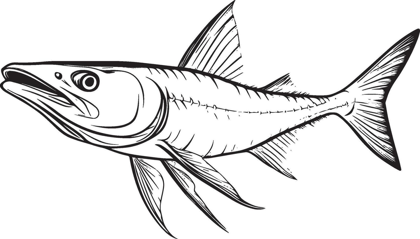 Black illustration of a barracuda fish in outline style. vector