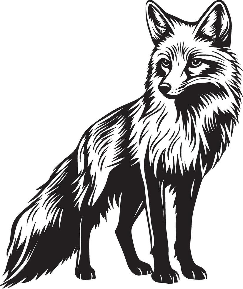 Black fox contour graphic vector