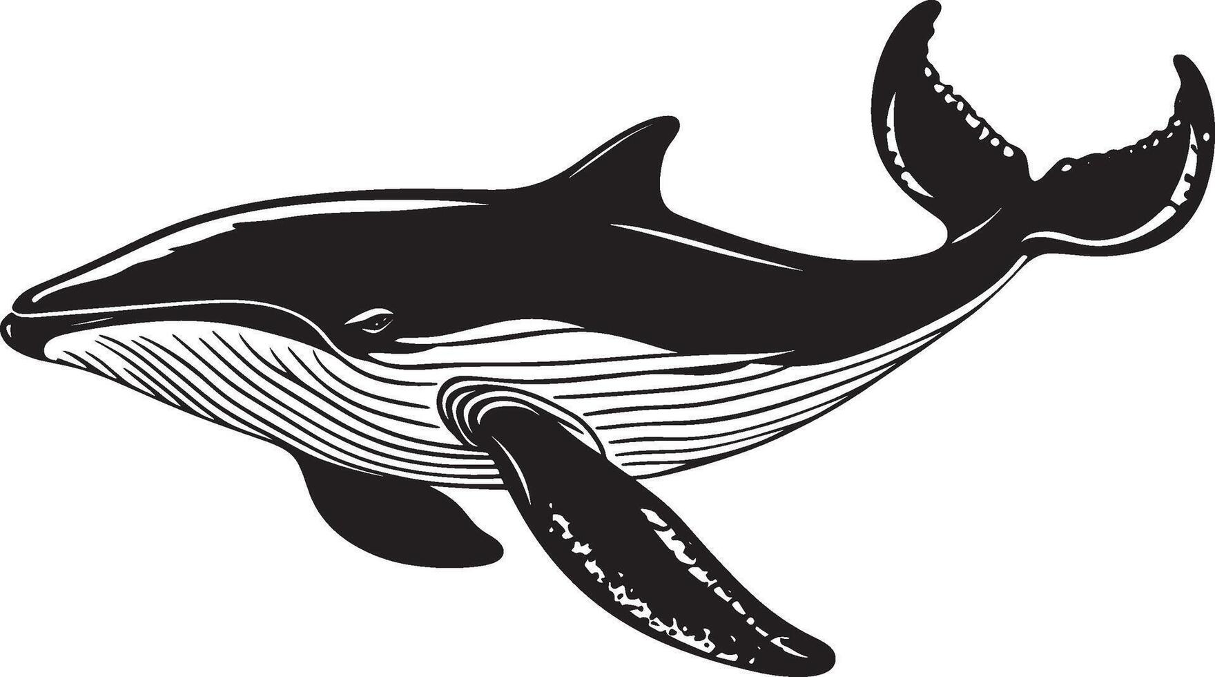 Whale outline black illustration vector