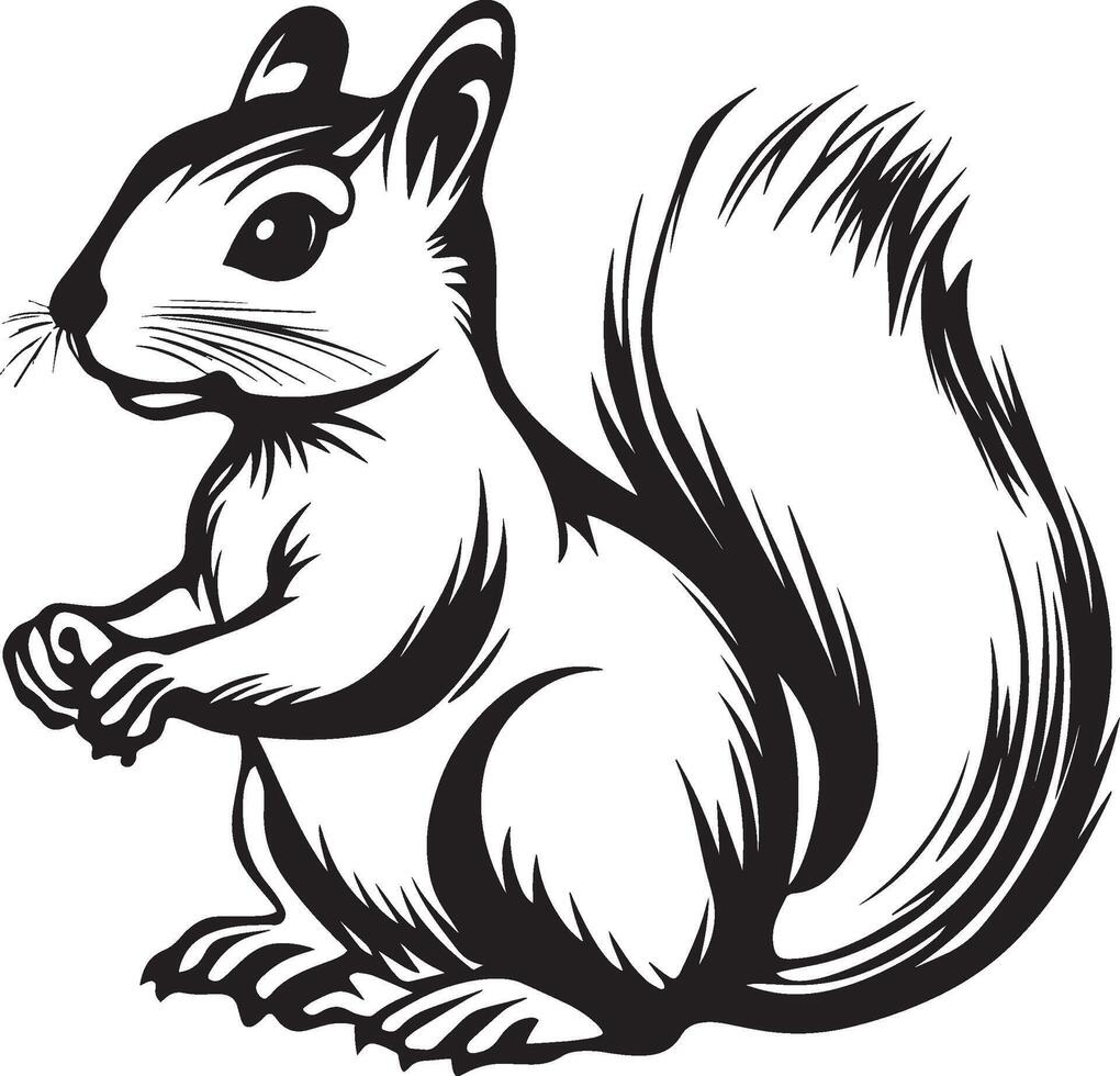 Squirrel outline black illustration vector