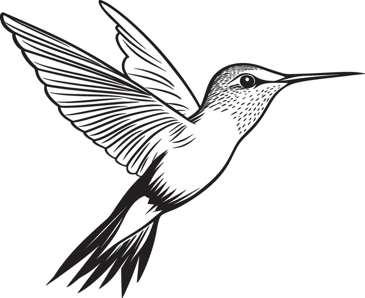 Simple black outline of a flying hummingbird, illustration. vector