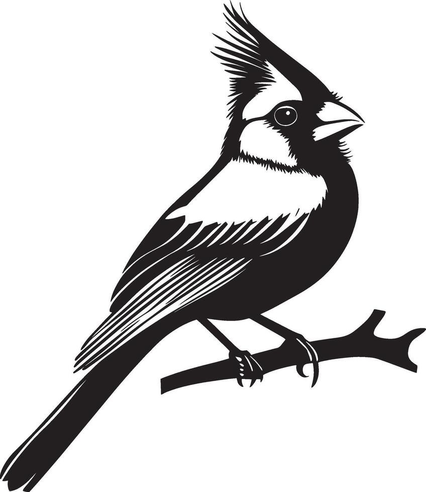 Minimalist black outline of a cardinal bird, design. vector