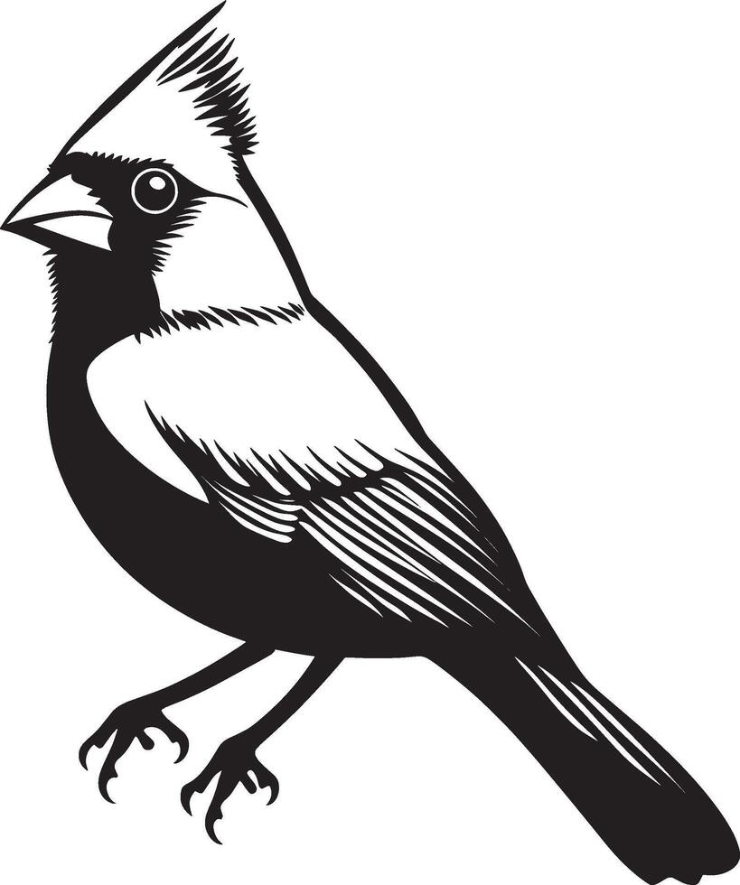 Cardinal bird icon in black outline style. vector