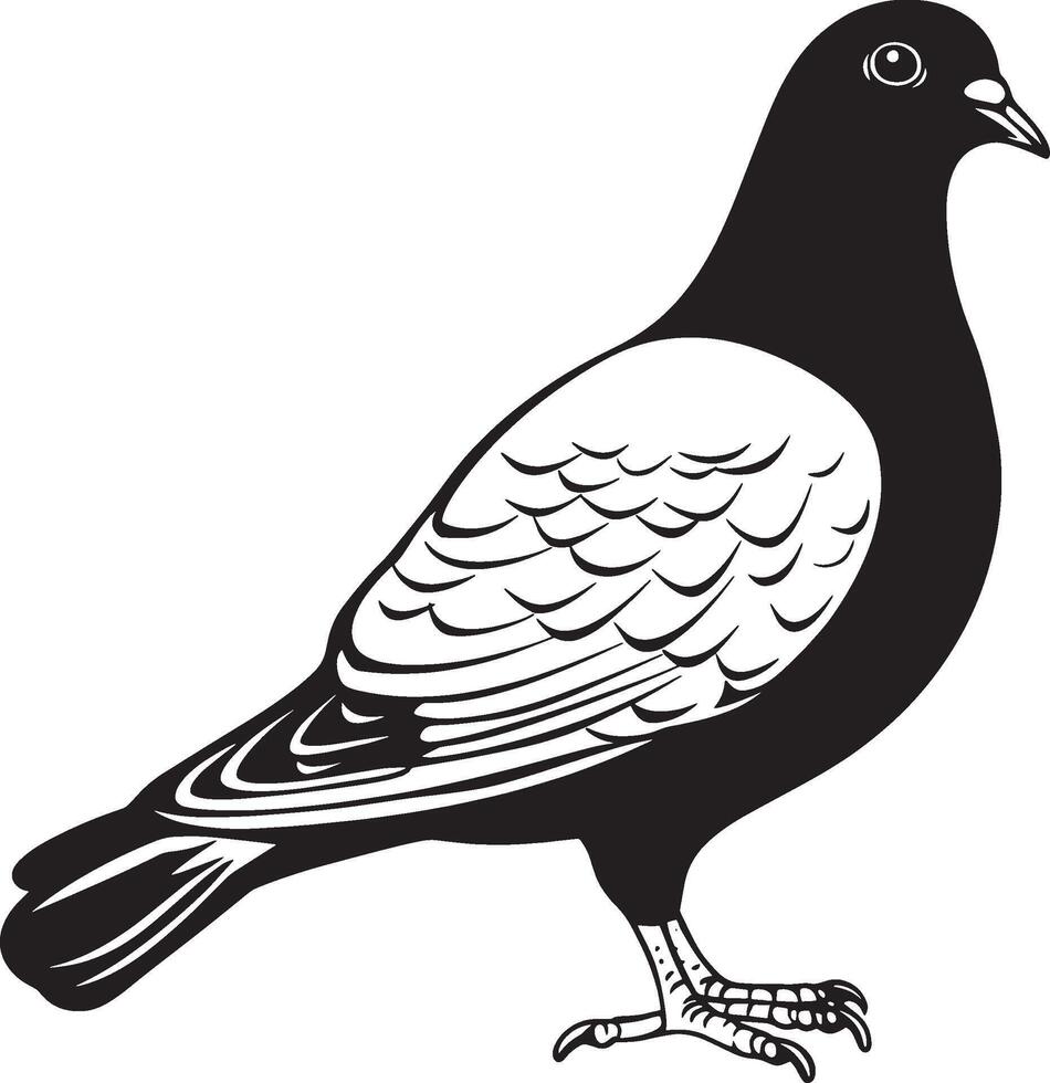 Pigeon icon in black style. vector