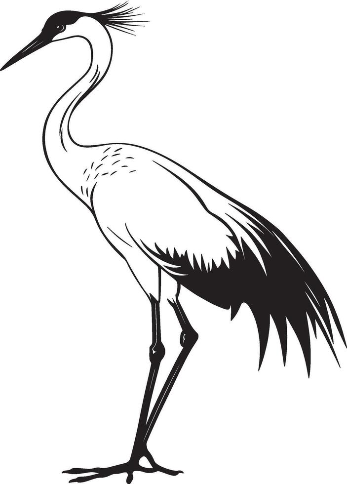 Crane bird outline black illustration vector