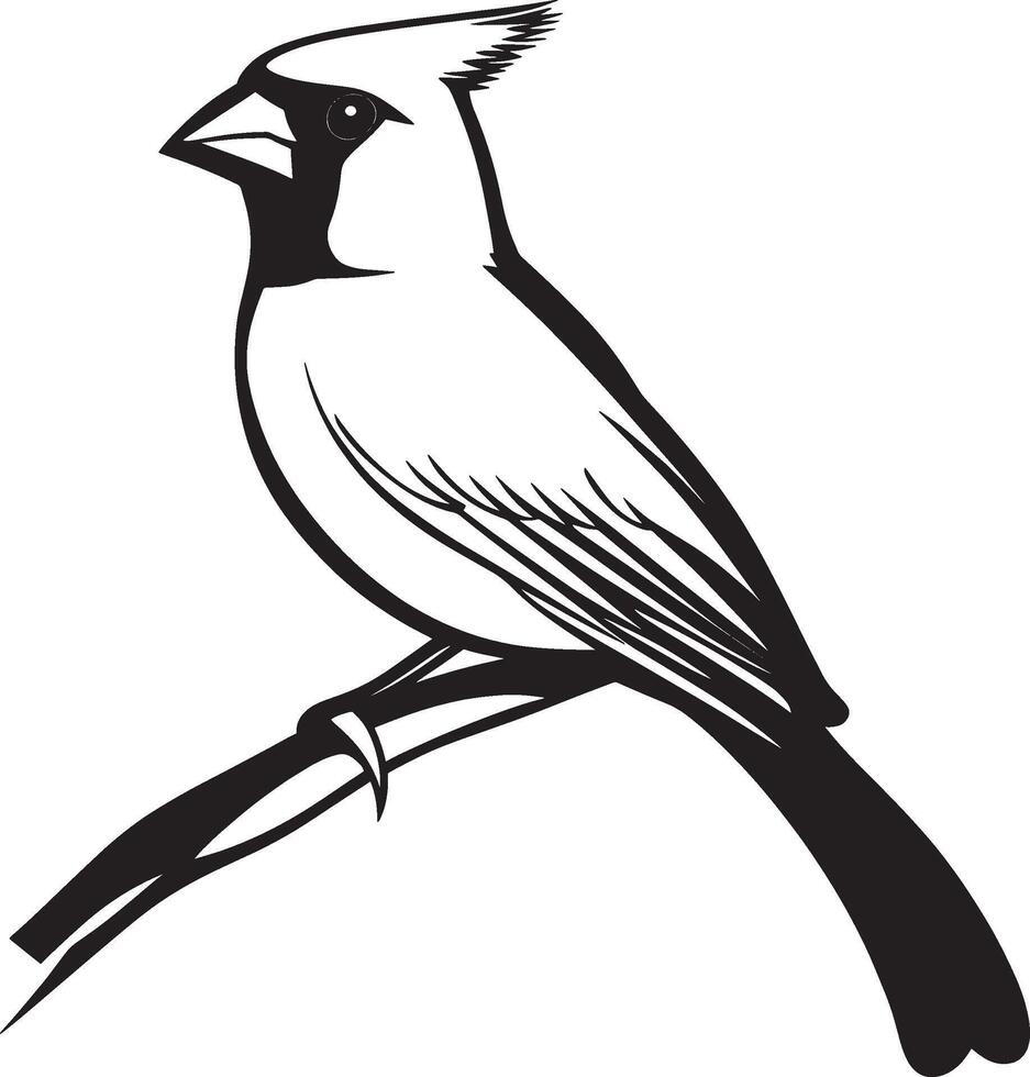 Cardinal bird outline black illustration vector