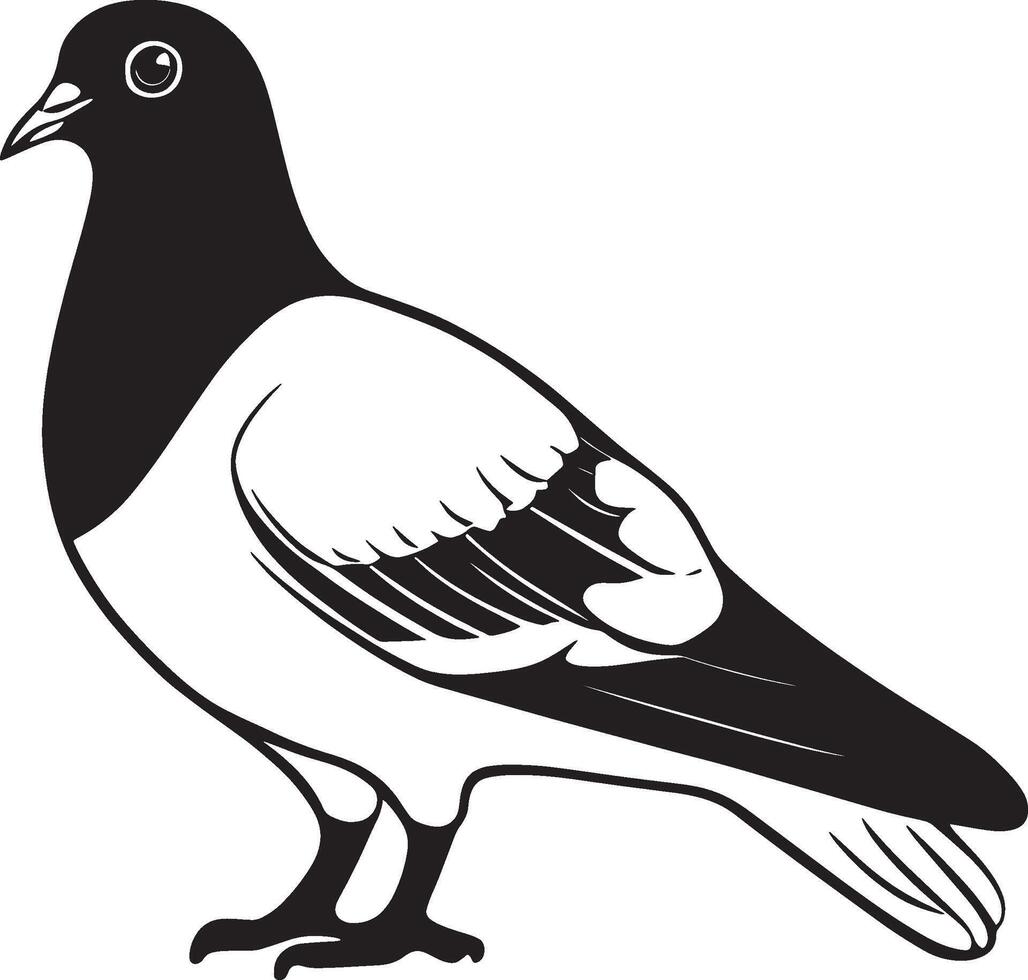 Simple black outline of a pigeon, illustration vector