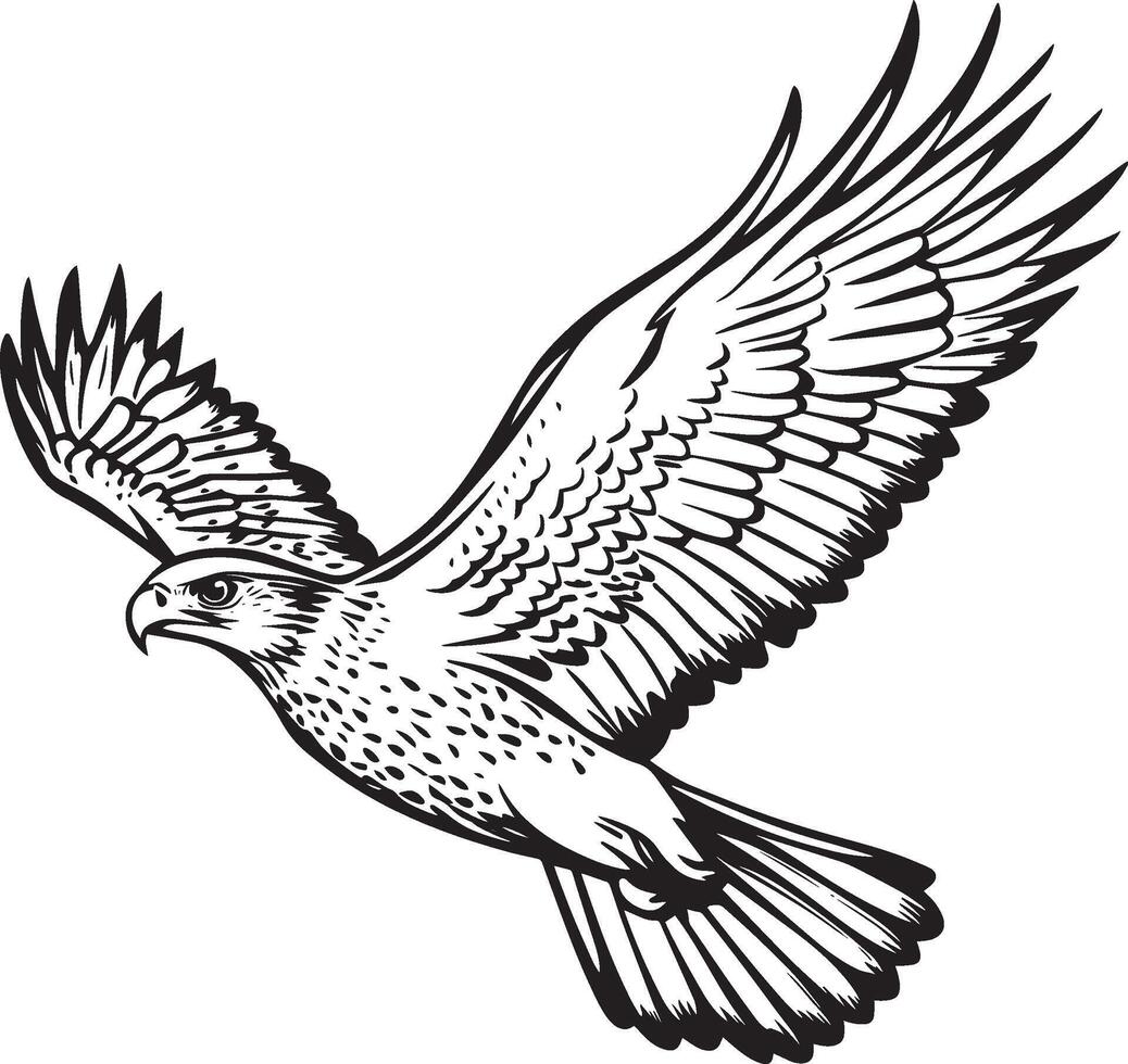 Falcon flying outline black illustration vector