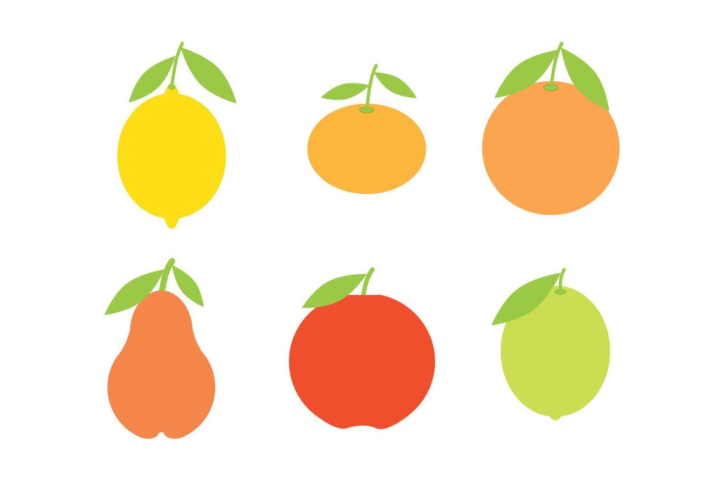 Fresh citrus fruits set. Orange, grapefruit, lemon, lime, apple and pear vector