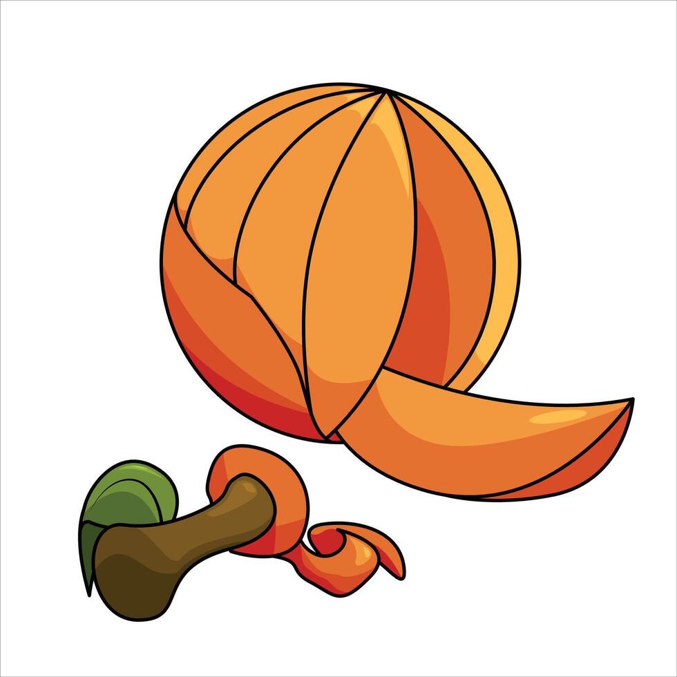 Orange peeled from its peel illustration vector