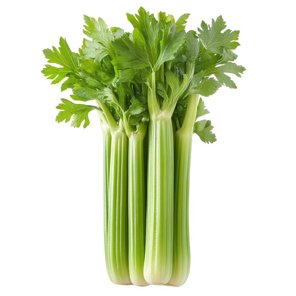Celery on transparent background png