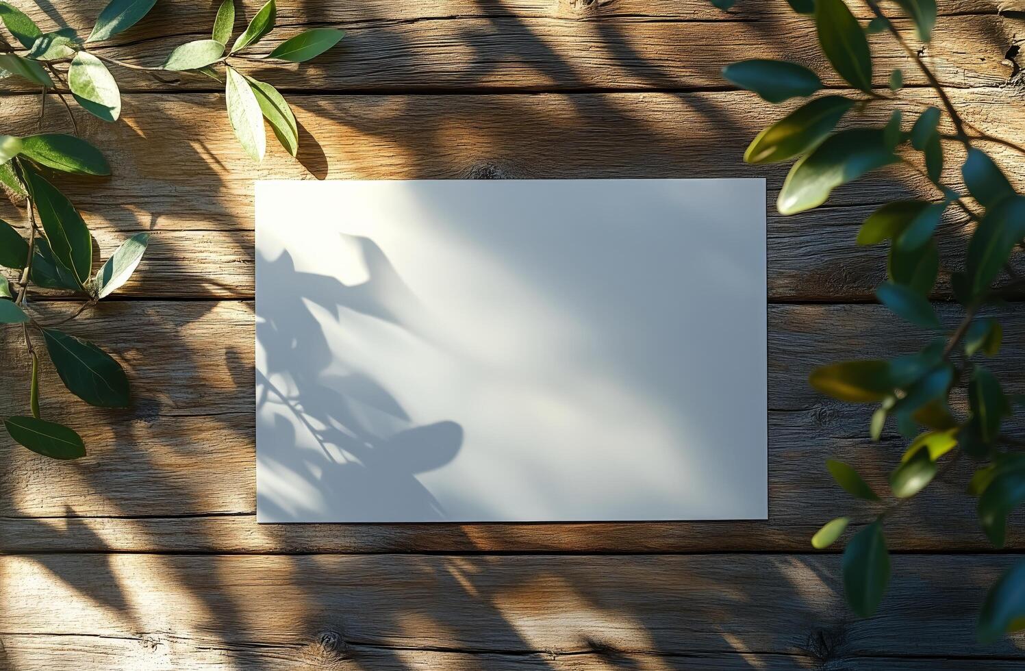 Blank card placed on rustic wooden surface surrounded by green leaves and soft shadows in natural light photo