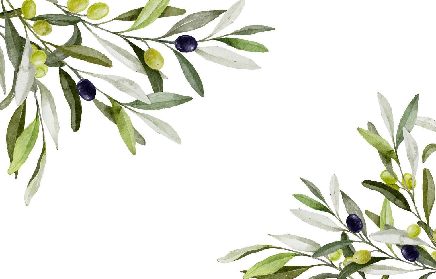 Greenery background with olive tree decoration. Watercolor Nature olive branch illustration vector
