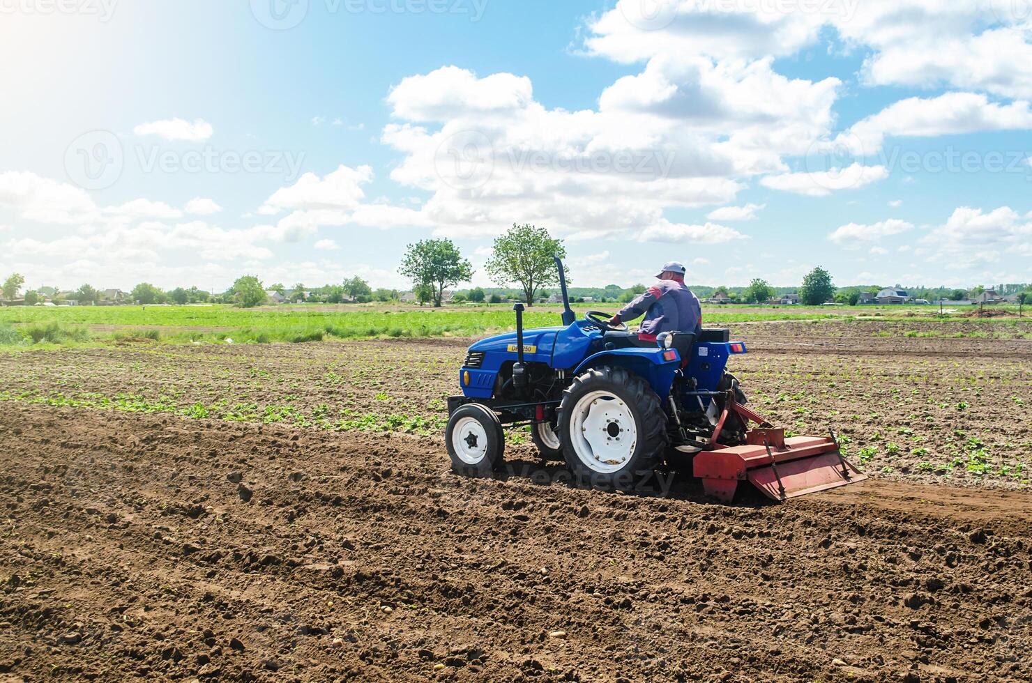 A farmer on a tractor mills the soil with a milling machine equipment. Growing vegetables. Ground crumbling and mixing. Grinding loosening soil, removing plants and roots from last harvest. photo