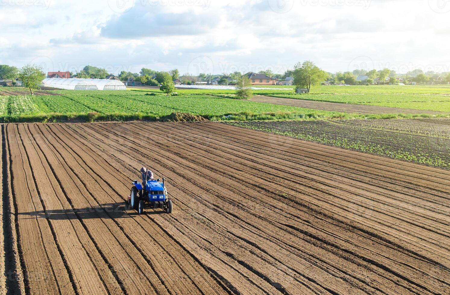 A farmer on a tractor processes a farm field. Farming and agriculture. Preparing the land for a new crop planting. Loosening the surface, cultivating soil for further planting. Work on the ground photo