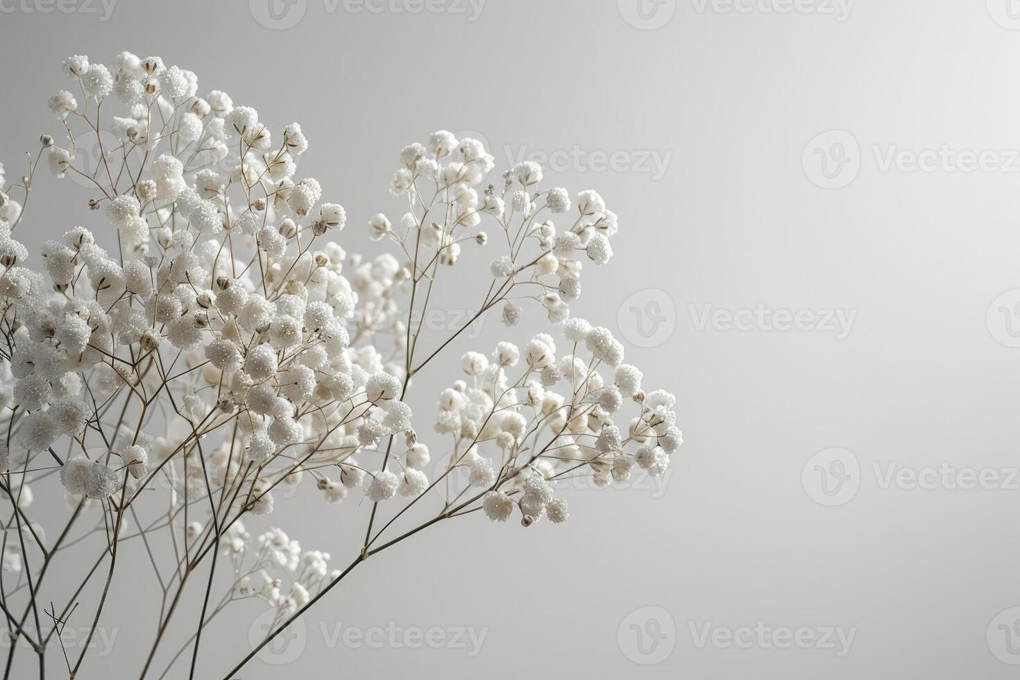 Delicate white flowers against a muted gray background photo