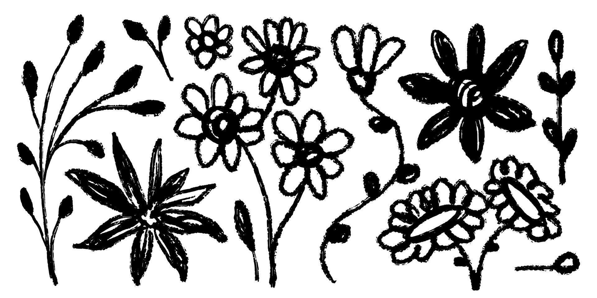 Set of flowers, leaves, floral stems. Simple style plants. Primitive wild plants drawing with grunge brush. Black and white botanical elements vector