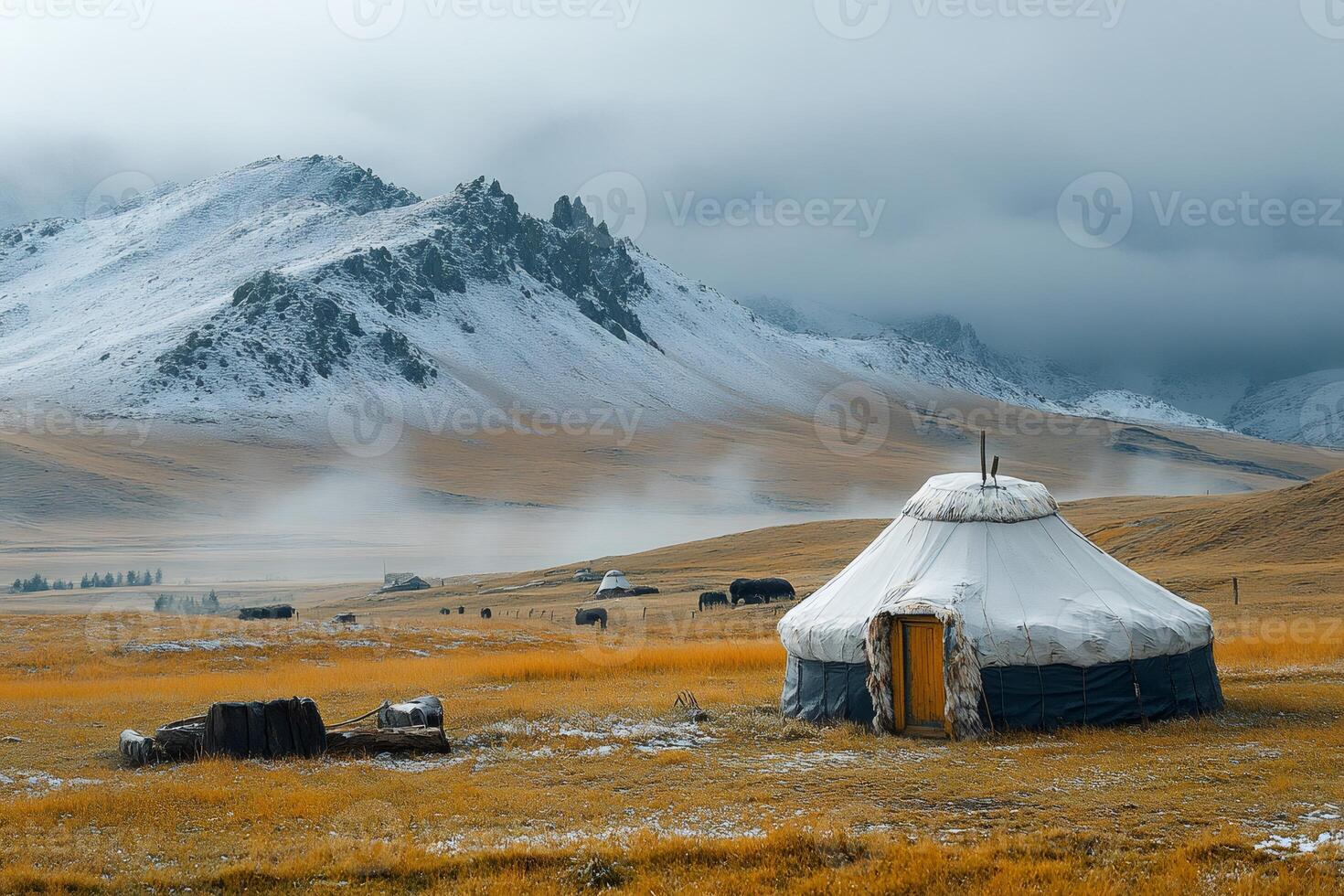 Traditional mongolian yurt in autumn landscape with grazing yaks photo