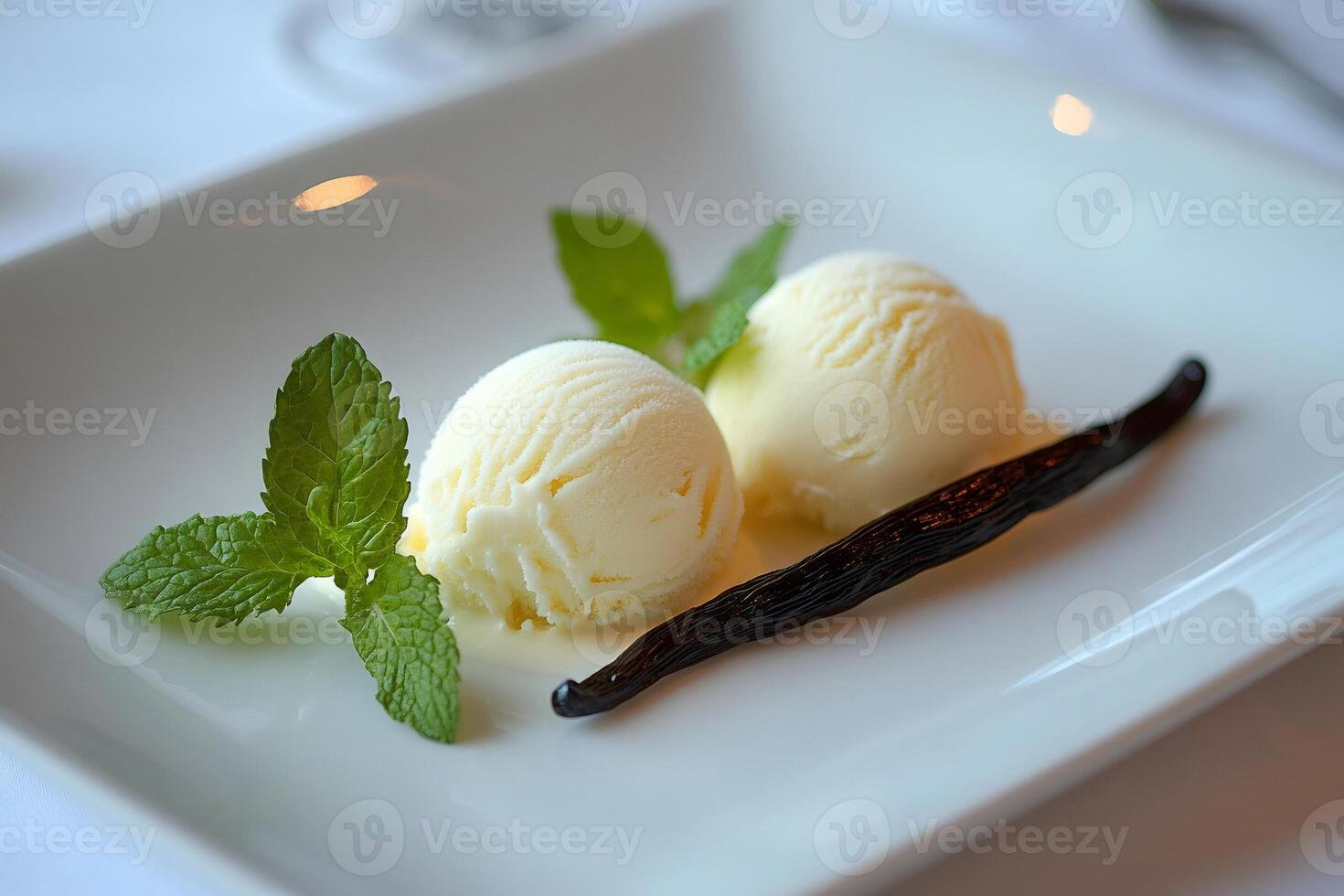 Two scoops of vanilla ice cream with vanilla pod and mint on white plate photo