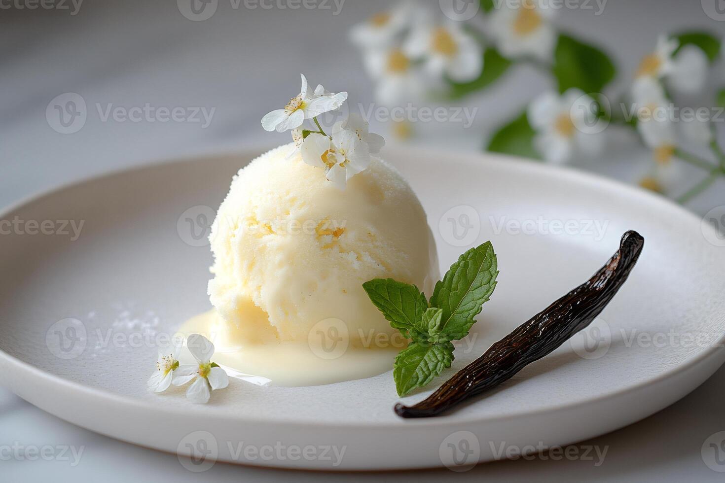 Scoop of vanilla ice cream melting on plate with vanilla pod and mint photo