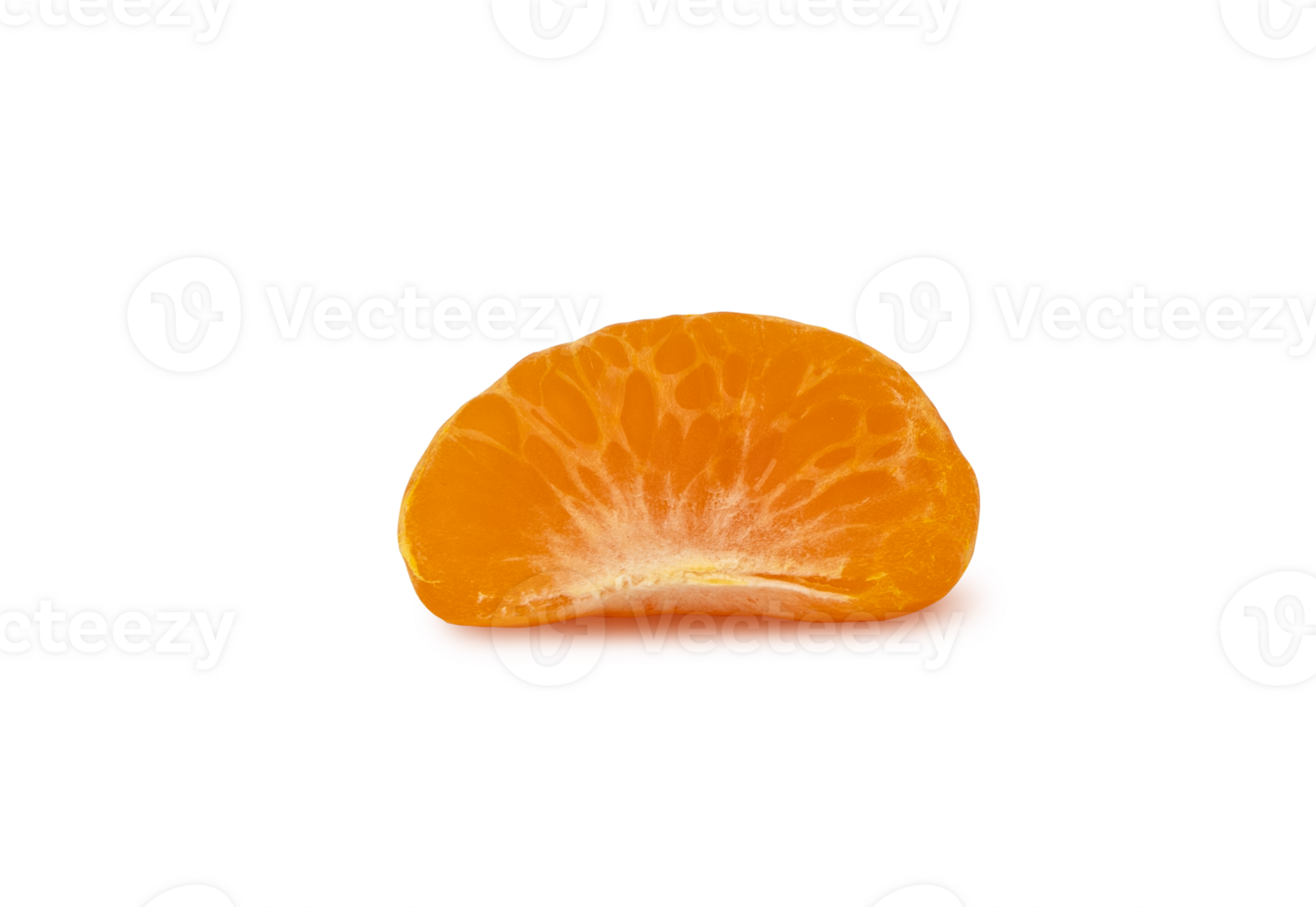Citrus slice isolated on transparent background with shadow. png