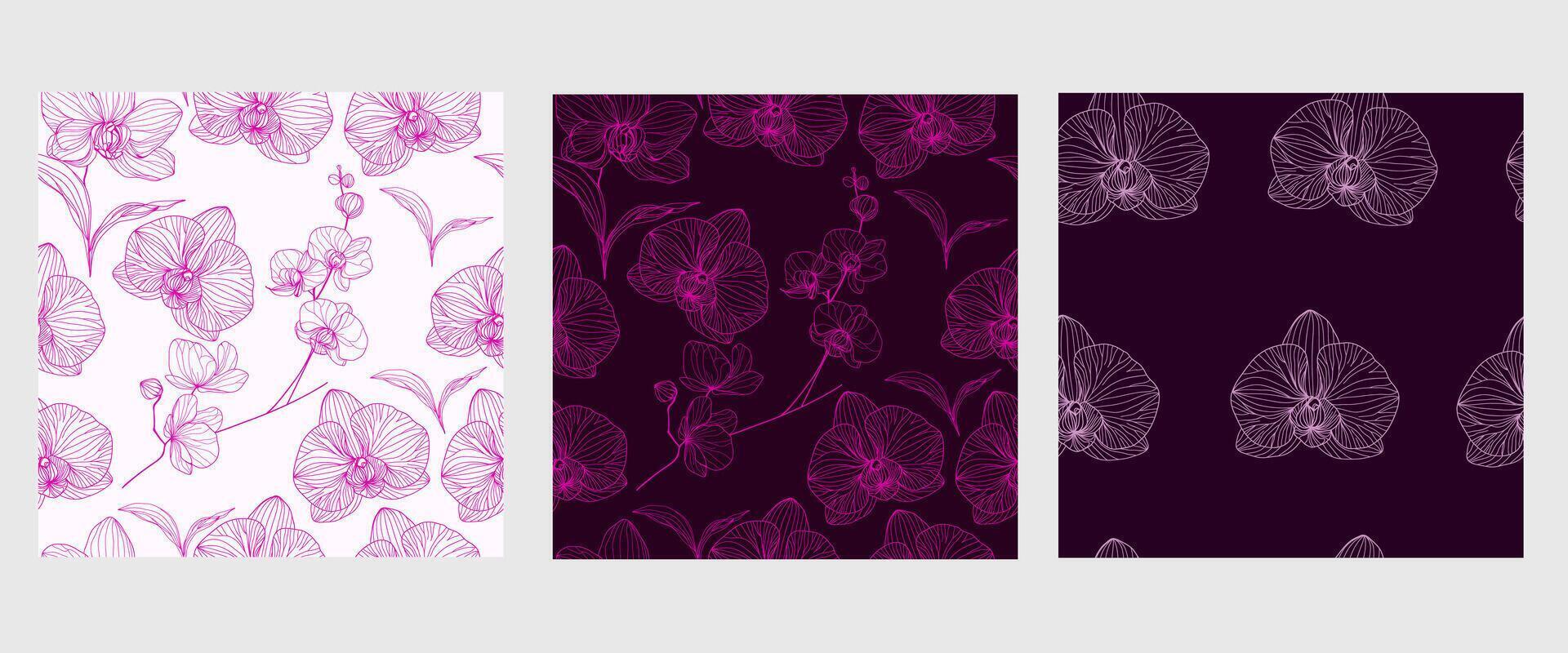 seamless pattern with flowers. Purple orchids collection patterns. Pink orchids. For wallpaper, botany pattern, packaging design, cards. vector