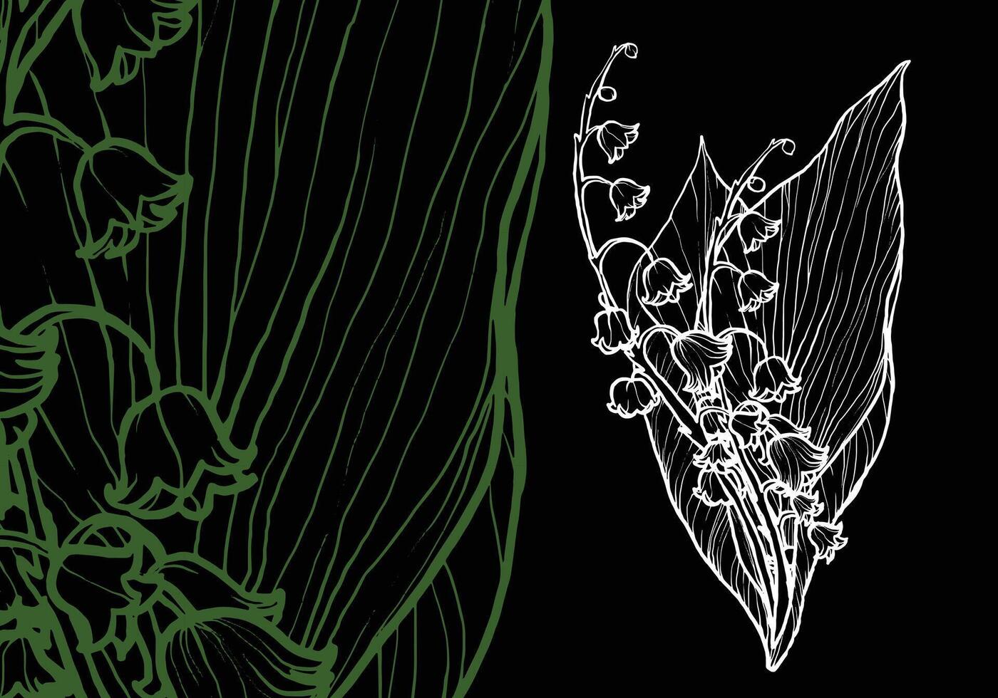 Easy to edit, ready to use lily of the valley. Hand drawn outline of this beautiful flower in dark green and white. Template for cards, banners or a beautiful elegant background. vector