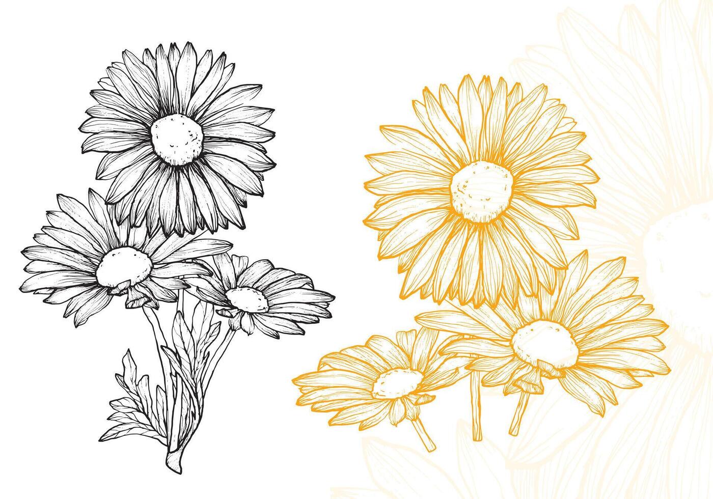 Summer daisies hand drawn in yellow and black on a white background. This file is ready to use, easy to edit for anything like wedding invitations, welcoming cards, labels, banners. vector