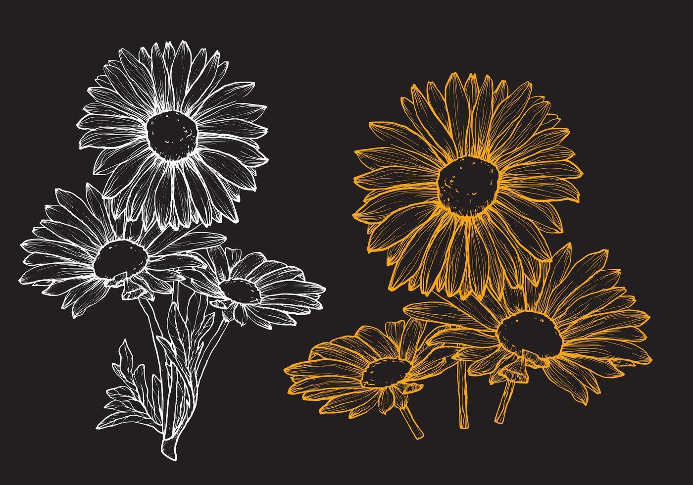 Summer daisies hand drawn in yellow and white on a black background. This file is ready to use, easy to edit for anything like wedding invitations, welcoming cards, labels, banners. vector
