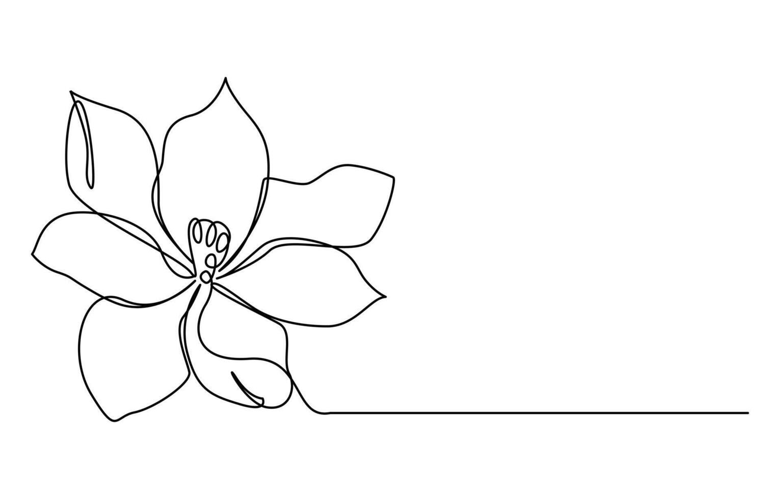 Magnolia flowers line art vector