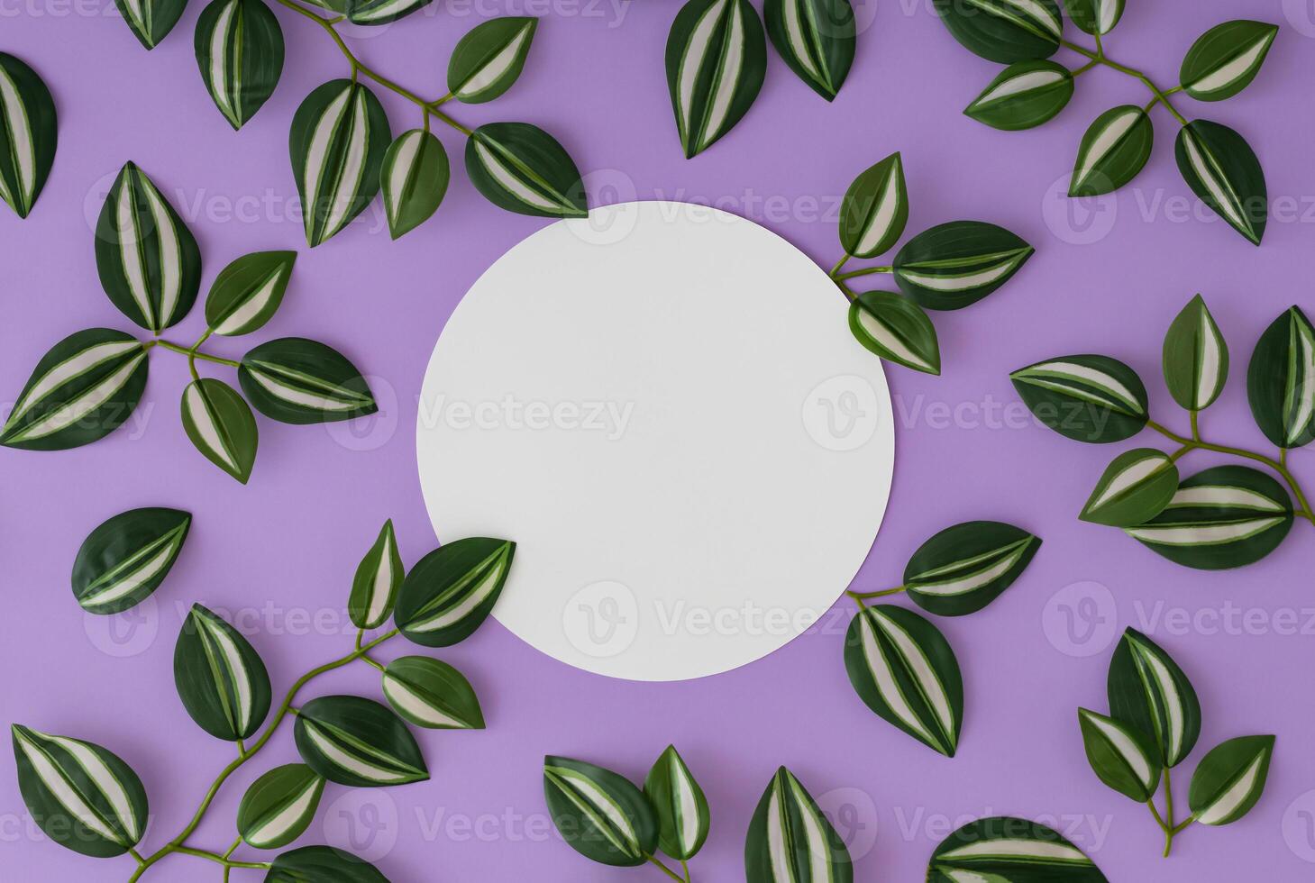 Spring and summer pattern composition made with green and white leaves on purple background with paper card note copy space. Minimal nature concept. Flat lay, top view. photo