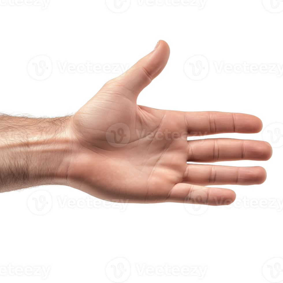 Realistic Open Hand Gesture Illustrating Human Interaction and Warmth png