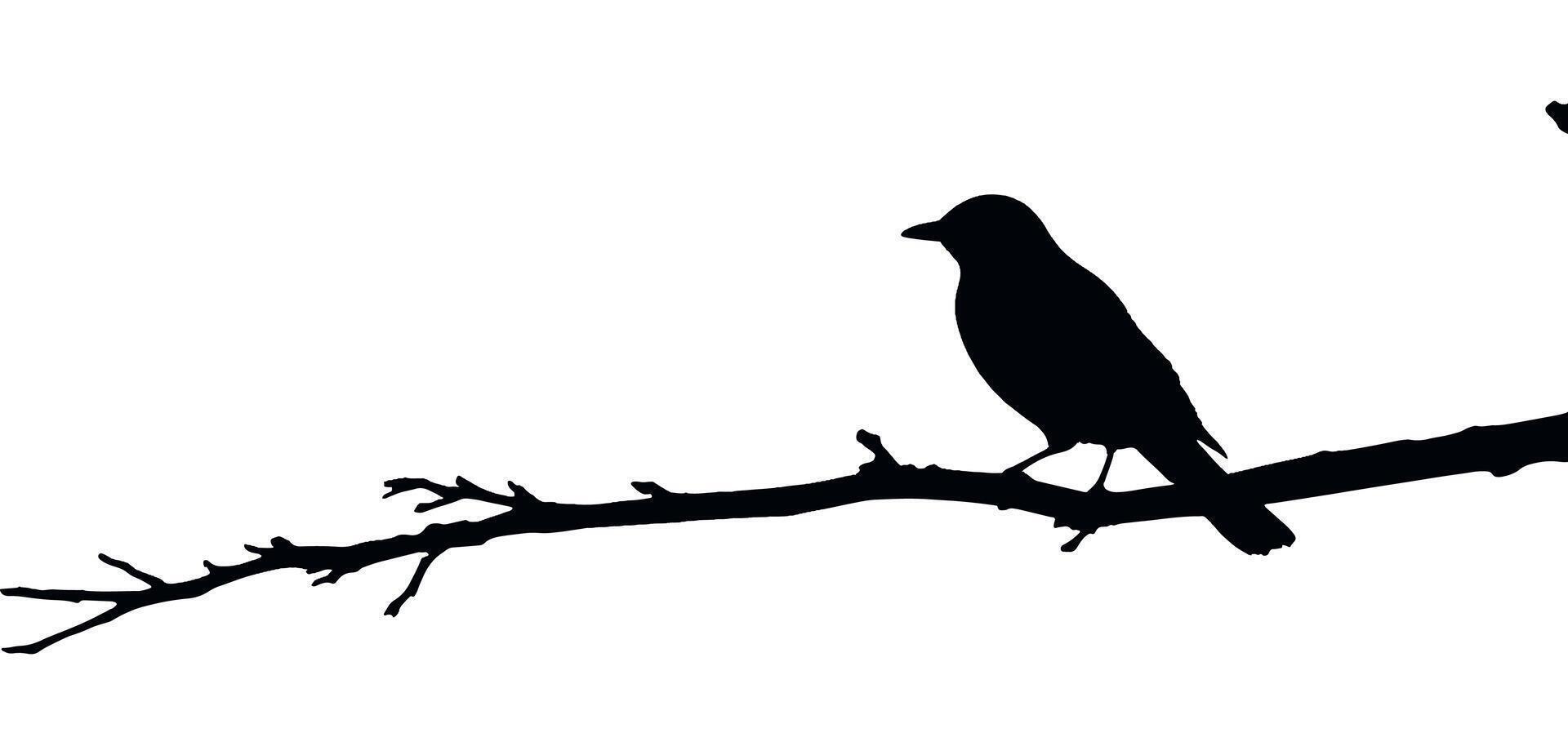 Bird on tree branch silhouette illustration vector