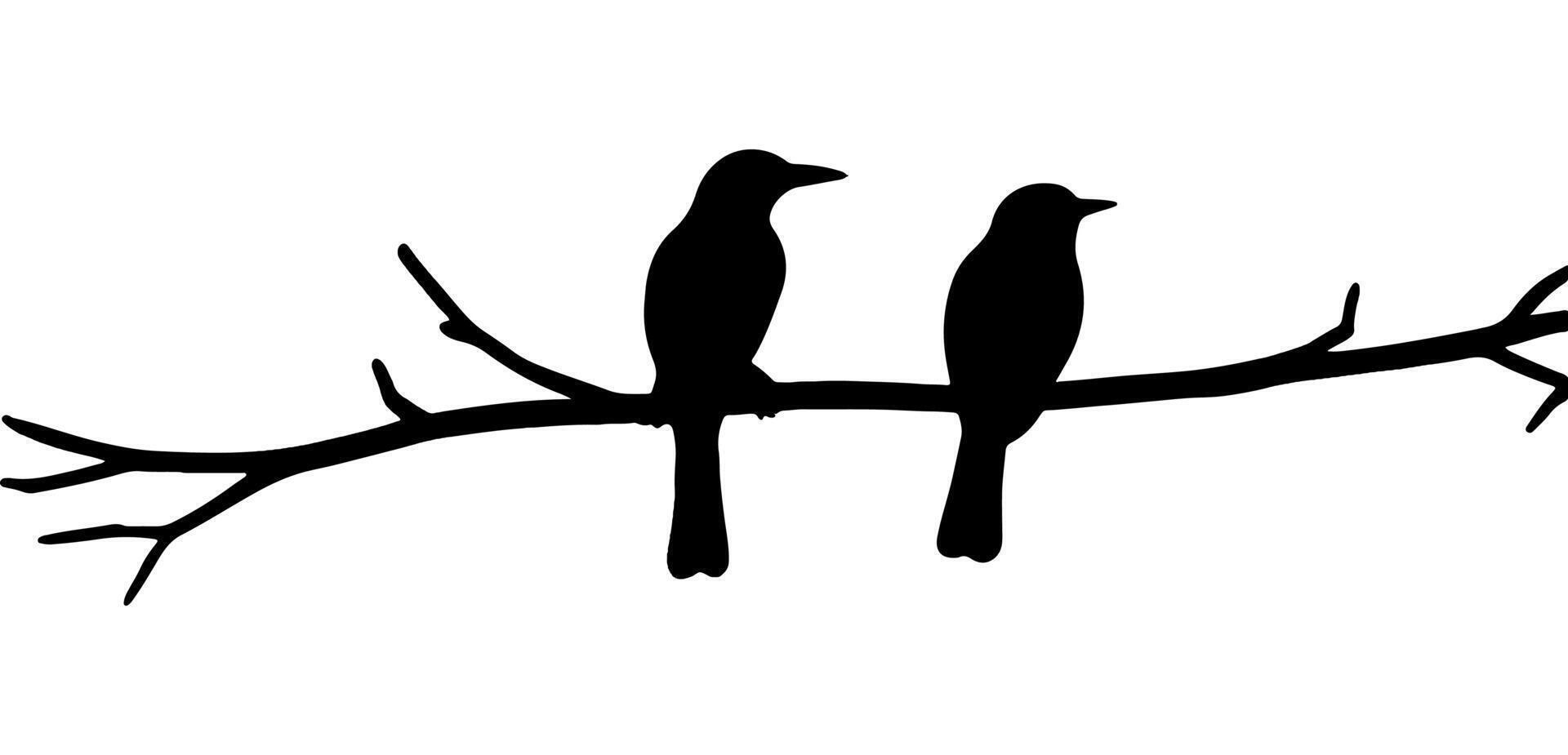 Birds on a branch silhouette. vector